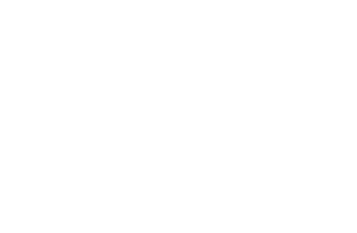 Bridge City Imagery Logo